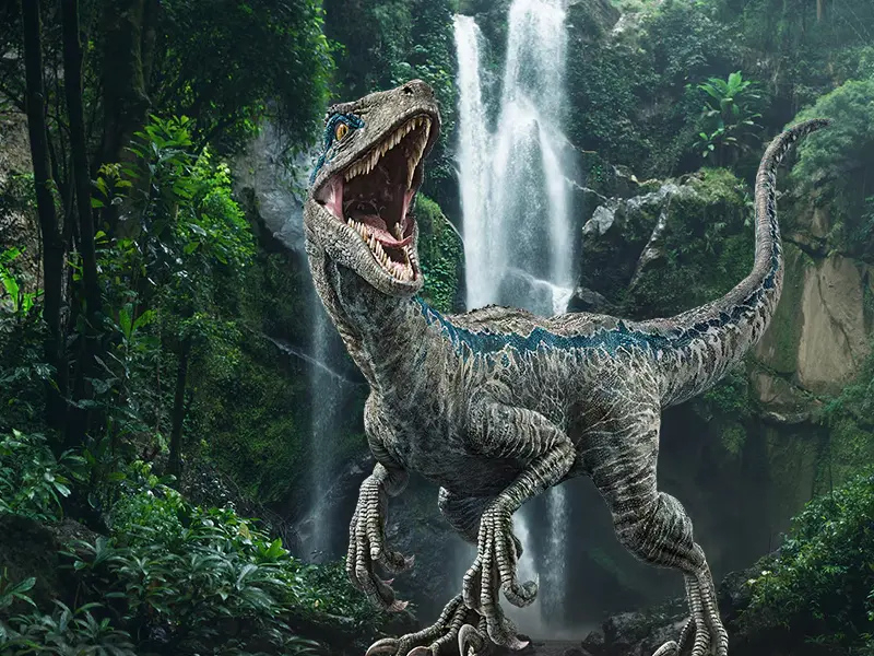 universal studios hollywood travel agent webp